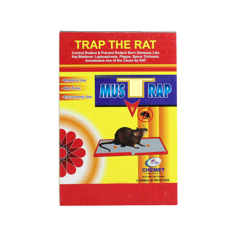 Simple Sticky Mouse Trap