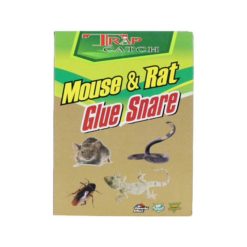 Outdoor Sticky Mouse Trap