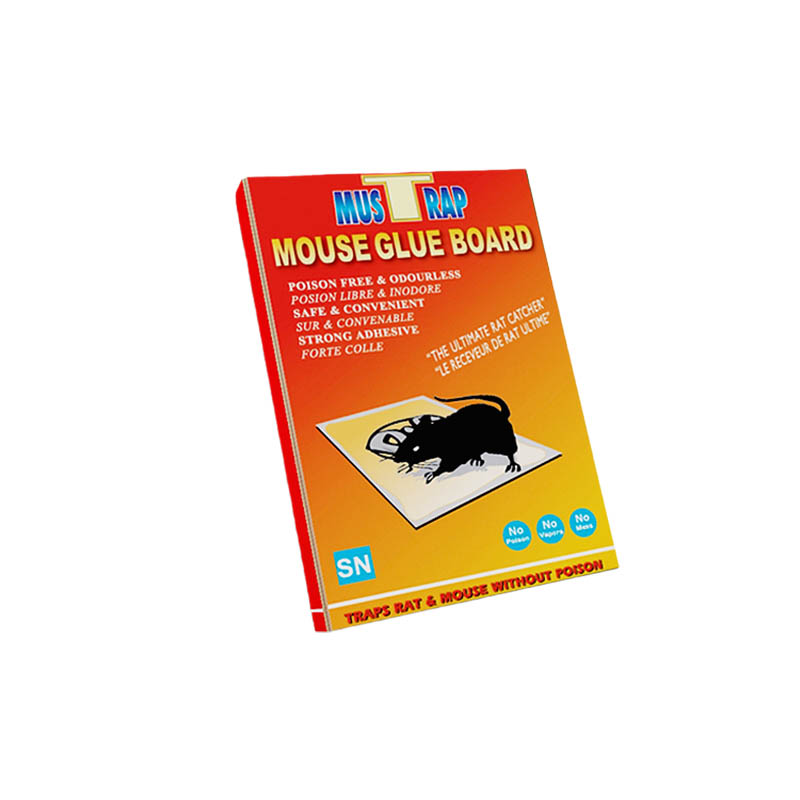 Enlarged Sticky Mouse Trap